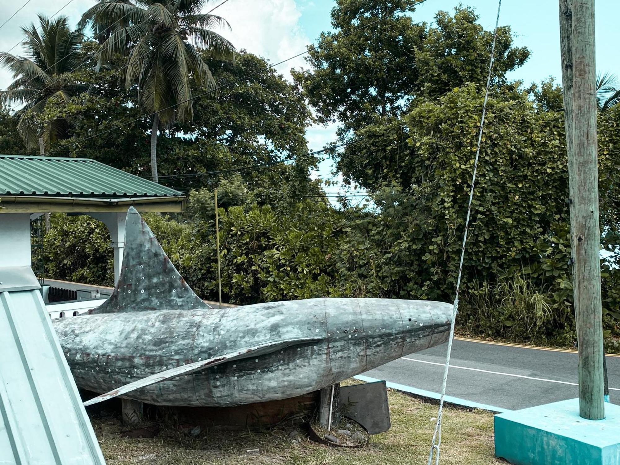 Divers Couette-café Beau Vallon (Mahe)