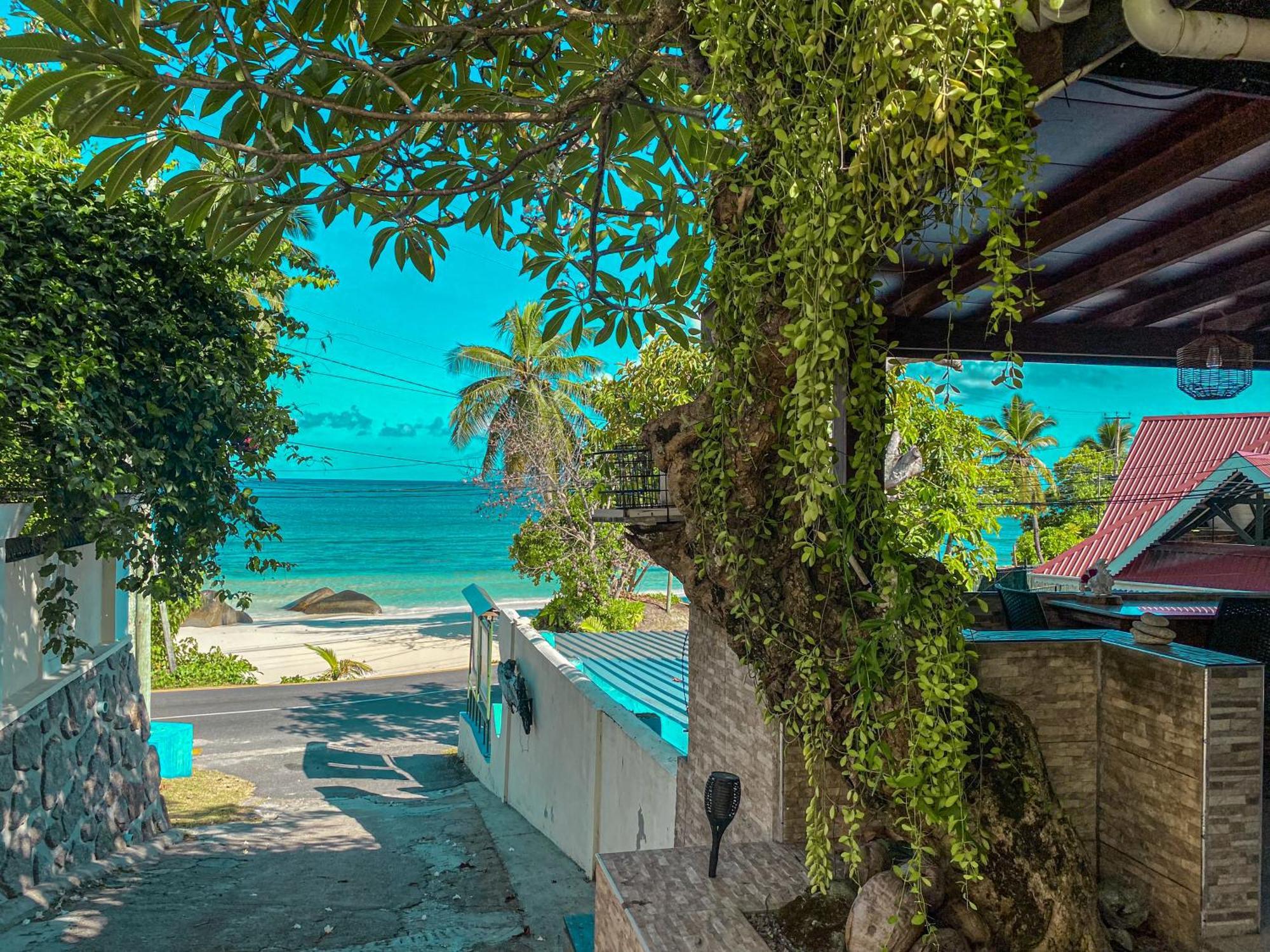 Couette-café Divers Beau Vallon (Mahe)
